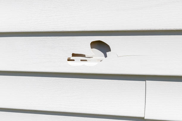 Best Property Management Cleanouts  in Lapel, IN